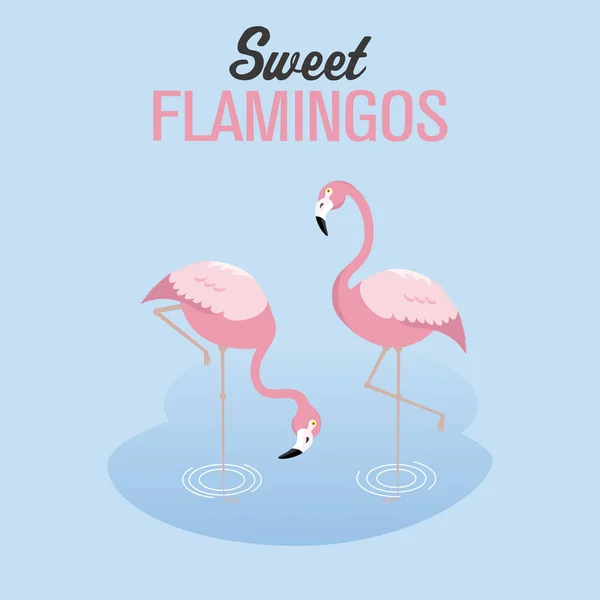 Dwa Flamingi Jeziorze Wektor Białym Tle Niebieskim Tle — Wektor stockowy