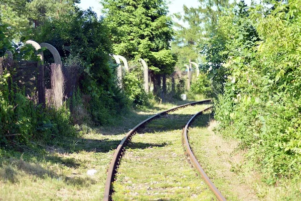 Railroad Tracks Met Spoorweg Schakelaar Twee Paden Samenkomen — Stockfoto