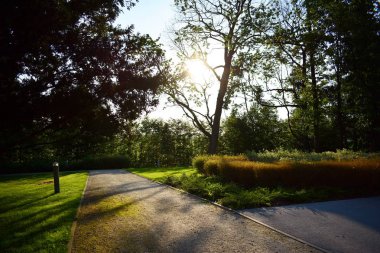 Yaz aylarında büyük şehir merkezinde parkta doğal görünümünü.