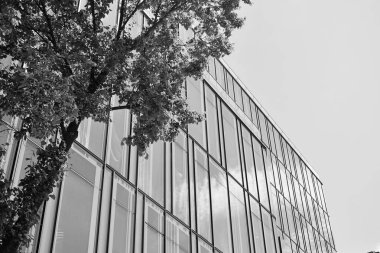 Modern ofis binası duvar yapılmış çelik ve cam. Siyah ve beyaz.