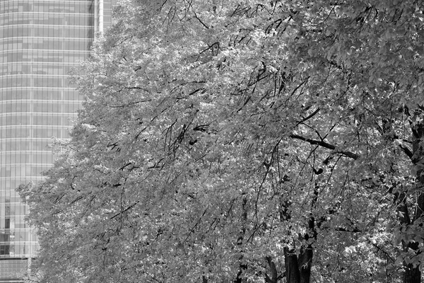 Moderno Edificio Oficinas Pared Acero Vidrio Blanco Negro — Foto de Stock