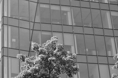 Modern ofis binası duvar yapılmış çelik ve cam. Siyah ve beyaz.