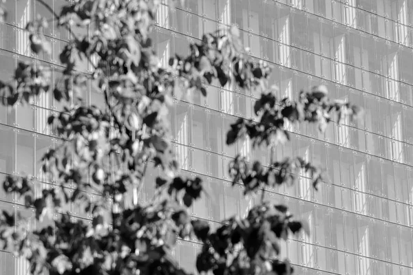 Modern apartment building exterior. Black and white.