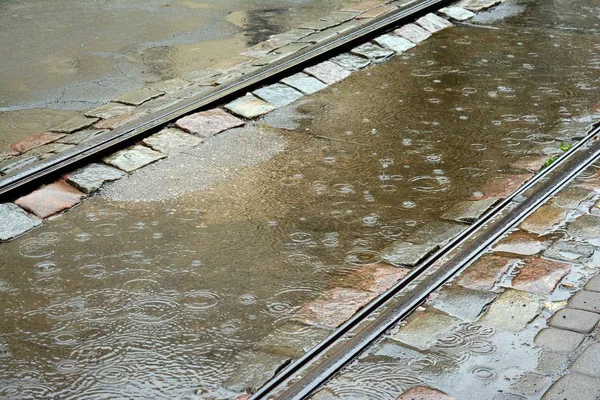 Strada Con Pozzanghere Acqua Durante Pioggia Visualizzare Alberi Cadute Pioggia — Foto Stock