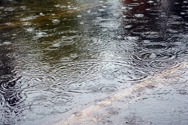 Road with puddles of water during rain and display trees . Rain drops rippling in a puddle