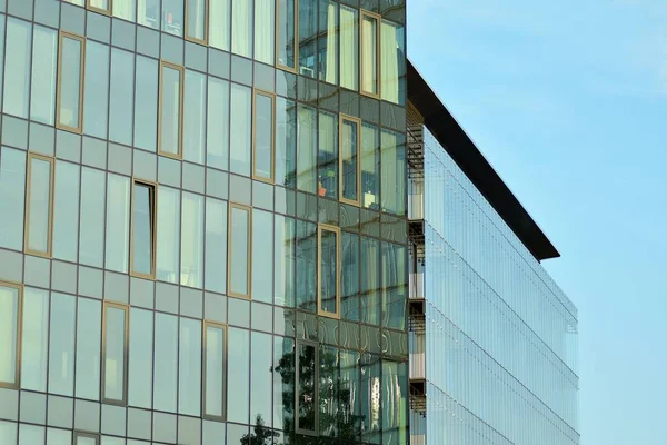 当代建筑的抽象片段 由玻璃和混凝土构成的墙壁 现代办公大楼玻璃幕墙 — 图库照片