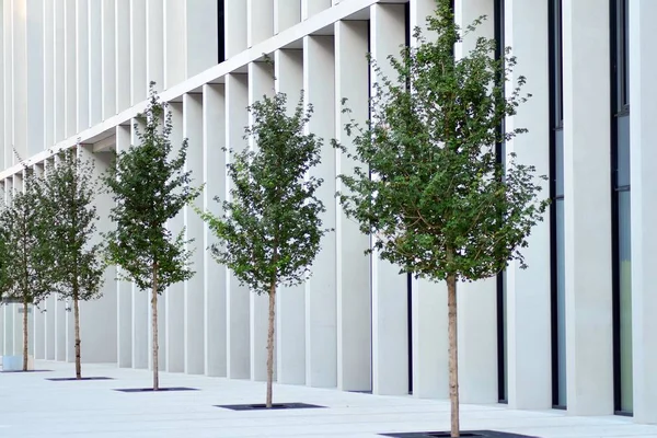 Beton mimari cephe City