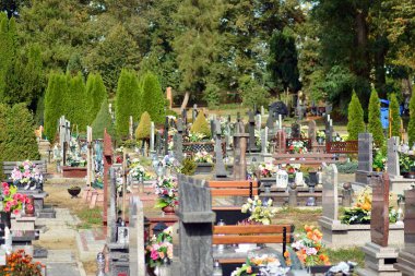 Trzcinsko-Zdroj, Poland.8 Ekim 2018. Batı Polonya - eski kötü Schonfliess Trzcinsko-zdroj kasabasında eski mezarlığı