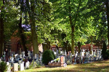 Trzcinsko-Zdroj, Poland.8 Ekim 2018. Batı Polonya - eski kötü Schonfliess Trzcinsko-zdroj kasabasında eski mezarlığı