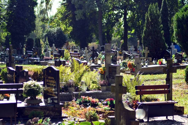 Trzcinsko Zdroj Poland Října 2018 Starý Hřbitov Městě Trzcinsko Zdroj — Stock fotografie
