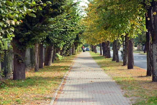 Belo Parque Cidade Medieval — Fotografia de Stock