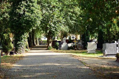 Ortaçağ şehrin güzel park