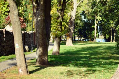 Ortaçağ şehrin güzel park