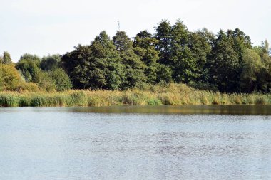 Göl kenarında bir ortaçağ city park