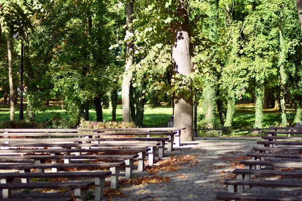 Trzcinsko Zdroju Poland Października 2018 Amfiteatr Świeżym Powietrzu Parku Miejscowości — Zdjęcie stockowe
