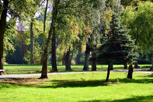 Красивий Парк Середньовічному Місті — стокове фото