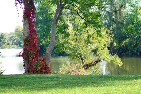 Lago Cerca Del Parque Una Ciudad Medieval — Foto de Stock