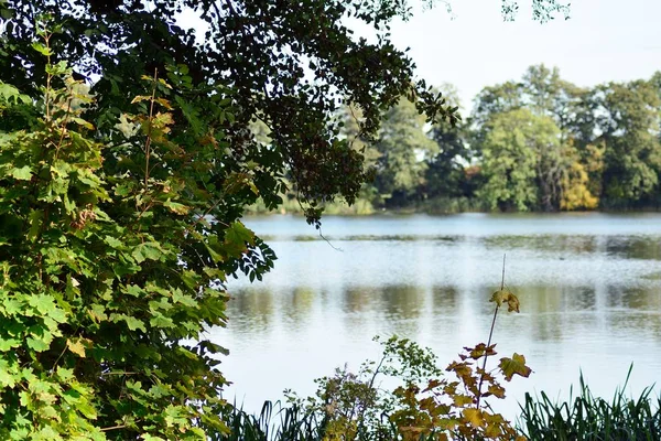 Jezero Parku Středověkém Městě — Stock fotografie