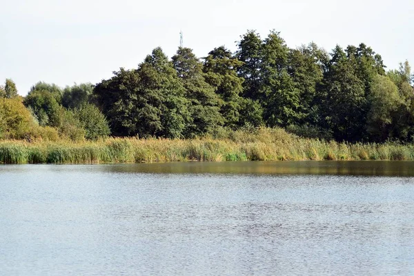 See Der Nähe Des Parks Einer Mittelalterlichen Stadt — Stockfoto