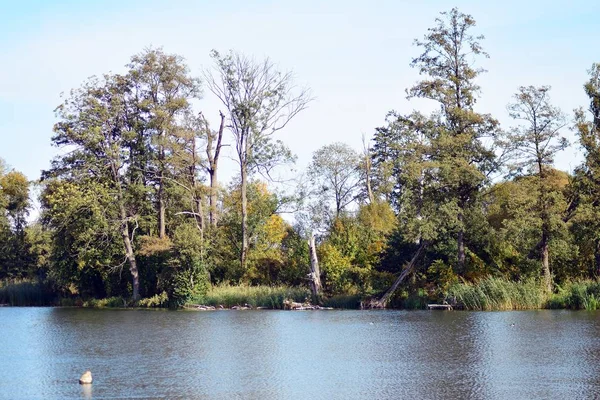 See Der Nähe Des Parks Einer Mittelalterlichen Stadt — Stockfoto