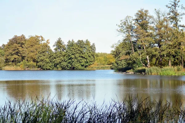 See Der Nähe Des Parks Einer Mittelalterlichen Stadt — Stockfoto