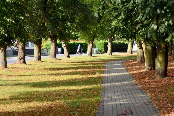 Piękny Park Średniowiecznego Miasta — Zdjęcie stockowe