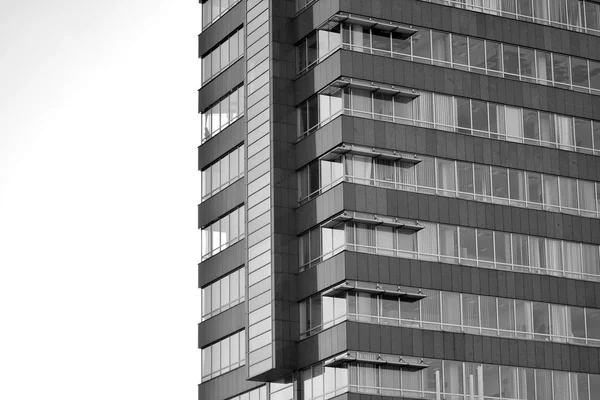 Architecture Entreprise Moderne Concept Affaires Réussite Noir Blanc — Photo