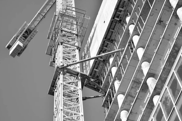 Grue Attachée Bâtiment Noir Blanc — Photo