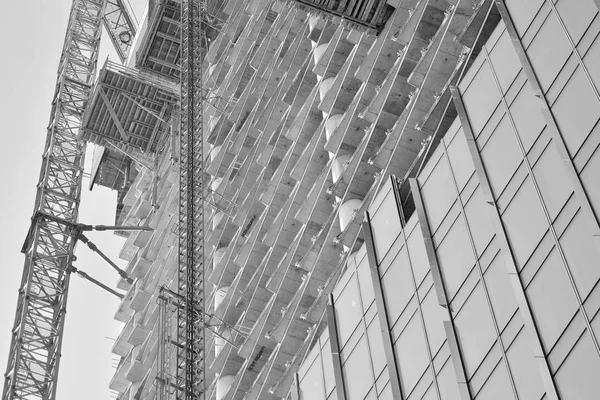 Кран Прикріплені Будівлі Чорно Біла — стокове фото