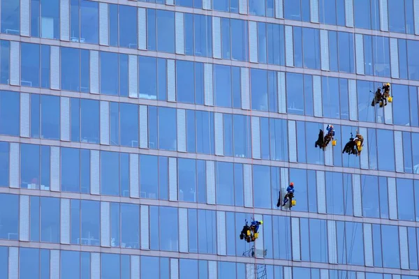 Climbers wash windows and glass facade of the skyscraper