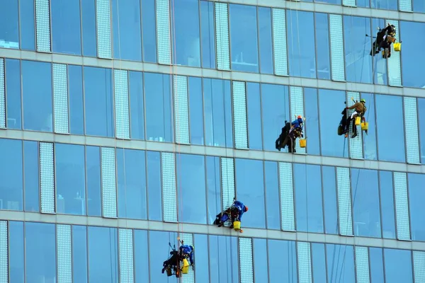 Climbers wash windows and glass facade of the skyscraper