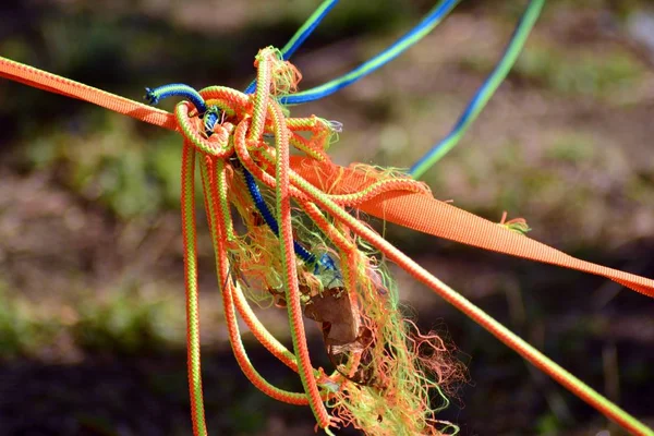 Color rope tied to a tree. Trees and ropes