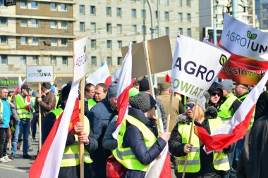 Varşova, Polonya. 3 Nisan 2019. Agrounia Birliği'nin çiftçilere Varşova Artur Zawisza Meydanı'nın merkezinde gösteri düzenledi.