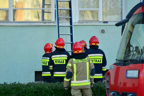 Viele Feuerwehrleute Bei Rettungsaktionen Mit Großer Leiter — Stockfoto