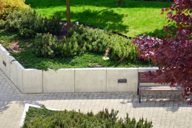 Şehir merkezinin yakınındaki süslü çalılar ve bitkiler.