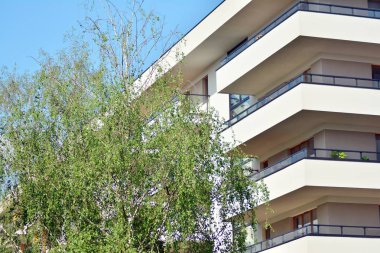 Şehir merkezinin yakınındaki süslü çalılar ve bitkiler.