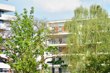 Şehir merkezinin yakınındaki süslü çalılar ve bitkiler.