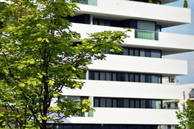 Şehir merkezinin yakınındaki süslü çalılar ve bitkiler.