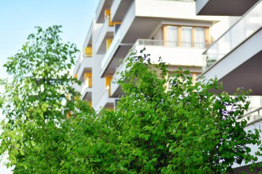 Şehir merkezinin yakınındaki süslü çalılar ve bitkiler.