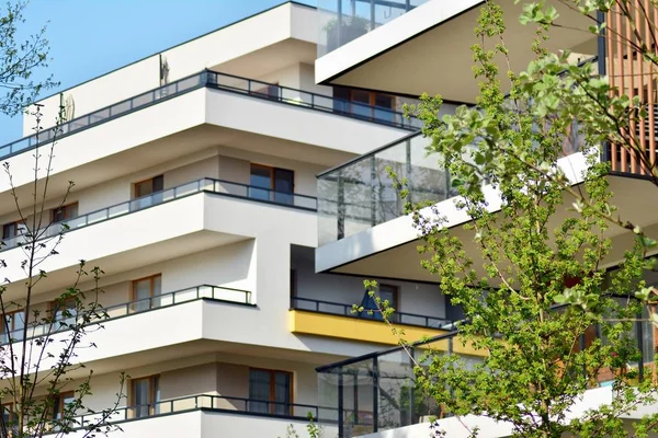 Sierheesters Planten Buurt Van Een Woonhuis — Stockfoto