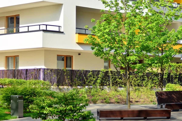 Ornamental shrubs and plants near a residential city house