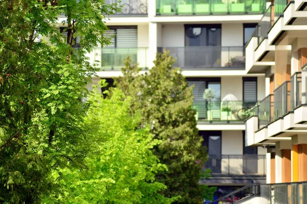 Ornamental shrubs and plants near a residential city house