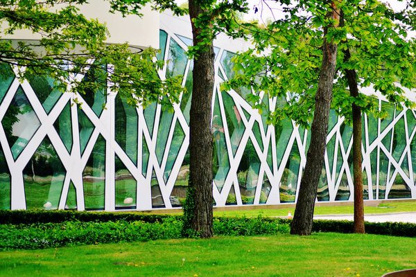 View of contemporary glass building with green trees