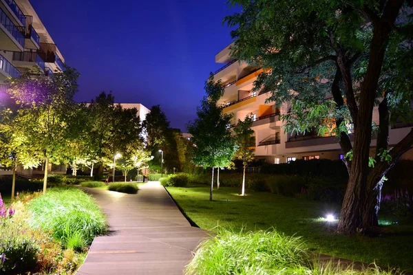Arbustos Plantas Ornamentales Cerca Una Casa Residencial Ciudad Por Noche — Foto de Stock
