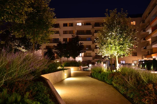 Ornamental shrubs and plants near a residential city house at night
