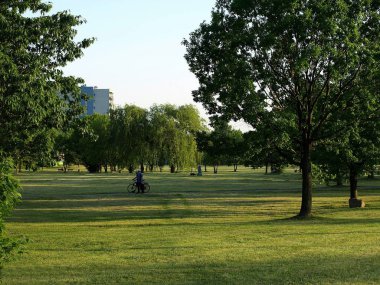 Şafakta yeşil şehir parkının güzel manzarası 