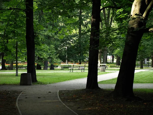 Belo Panorama Parque Cidade Verde Amanhecer — Fotografia de Stock