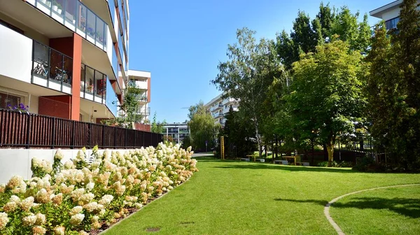 Varşova, Polonya. 9 Ağustos 2019. 