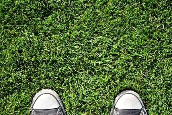 Вид Сверху Обувь Траве Обувь Наслаждающаяся Красивой Зеленой Травой — стоковое фото