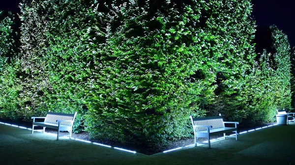 Varşova, Polonya. 26 Ağustos 2019. Castle Gardens - gece Vistula kenarından Varşova Kraliyet Kalesi bitişik bir bahçe. Bugün, kale bahçeleri mükemmel bir dinlenme yeridir.